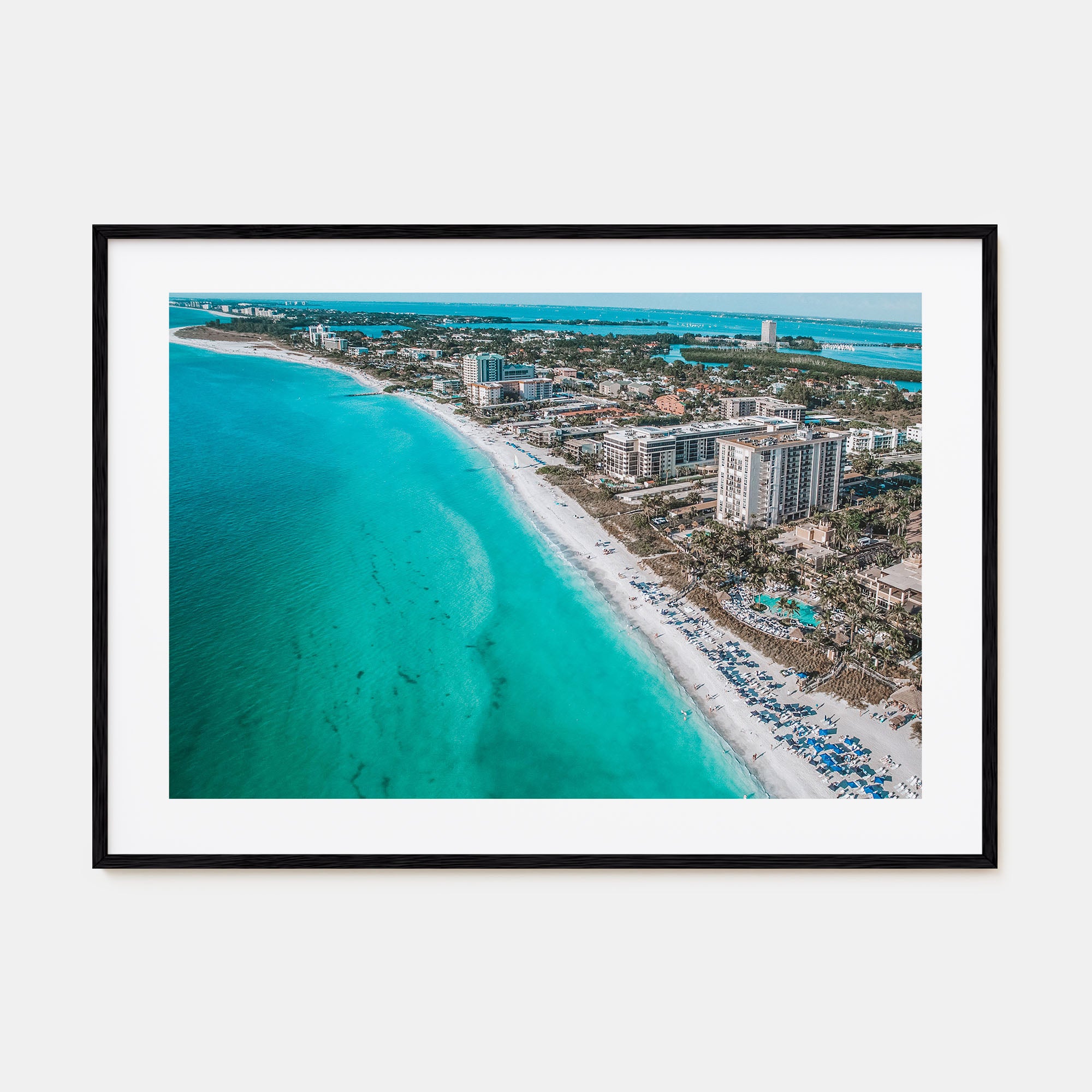 Sarasota Landscape Color Poster