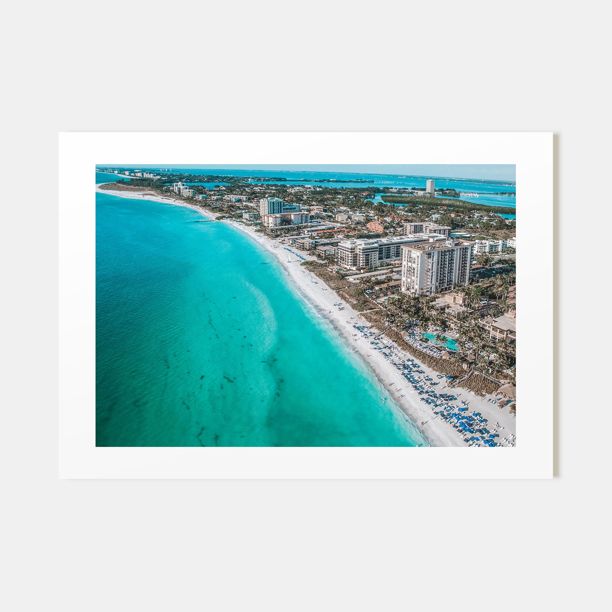 Sarasota Landscape Color Poster