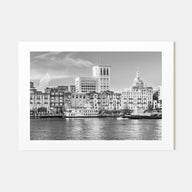 Savannah Landscape B&W Poster
