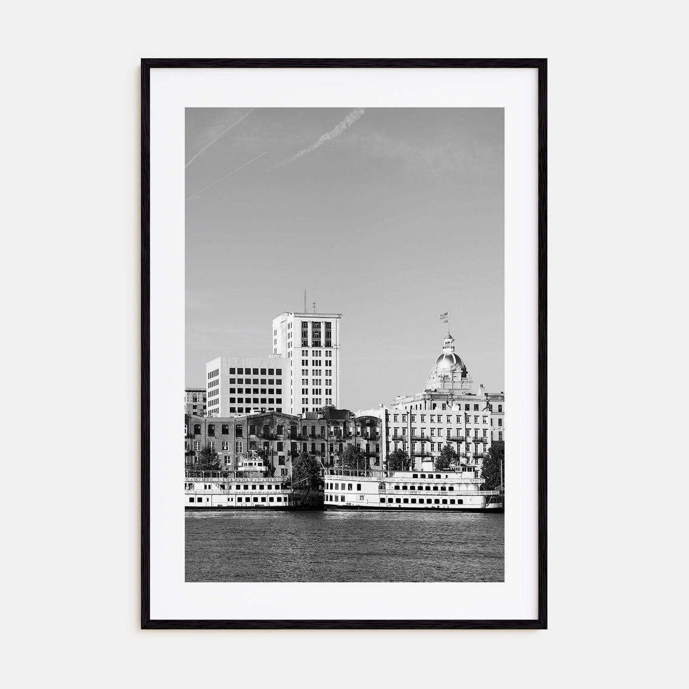 Savannah Photo B&W No 1 Poster