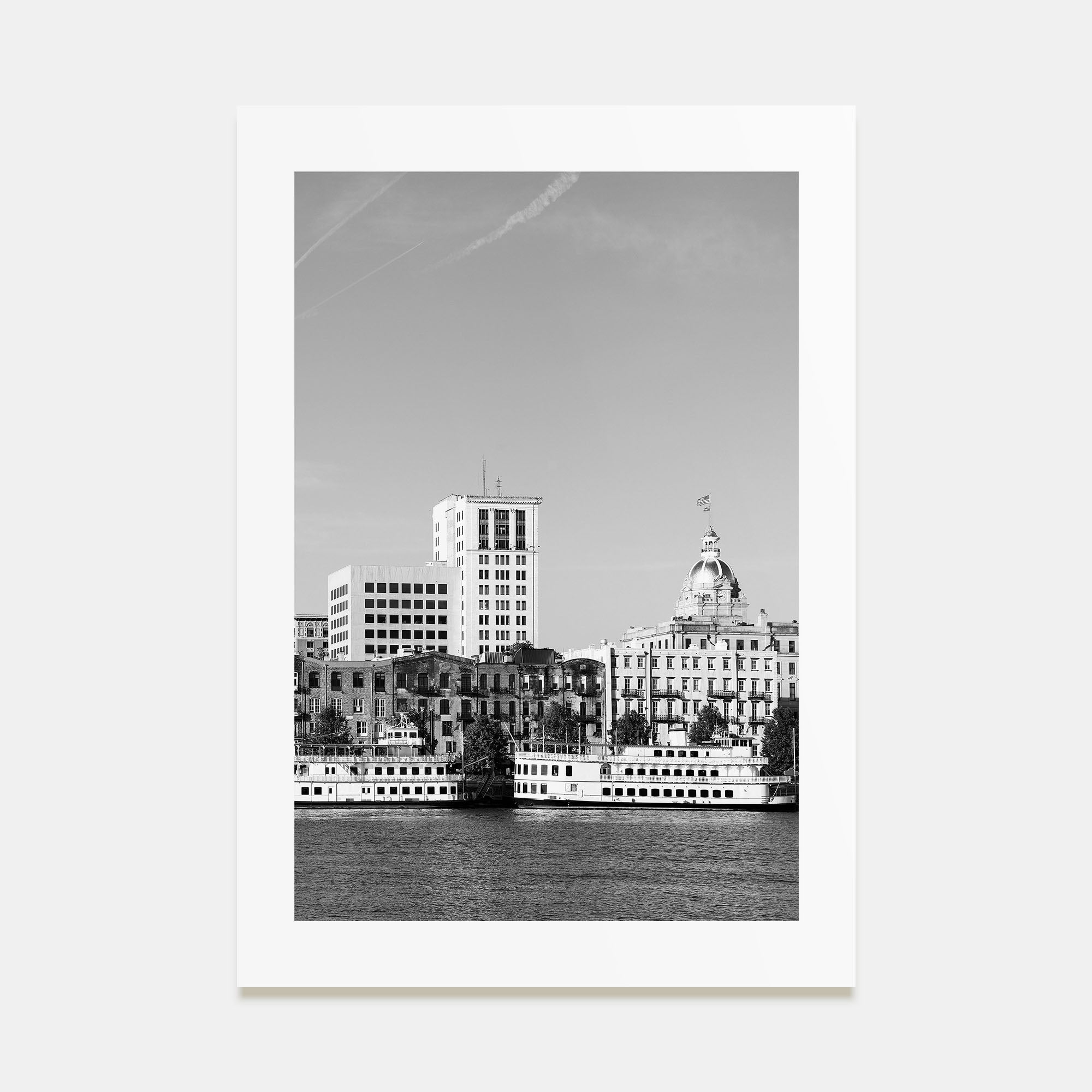 Savannah Photo B&W No 1 Poster