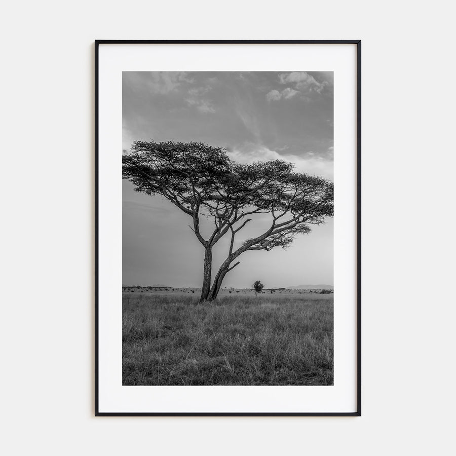 Savannah Photo B&W No 2 Poster