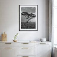 Savannah Photo B&W No 2 Poster