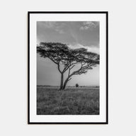 Savannah Photo B&W No 2 Poster
