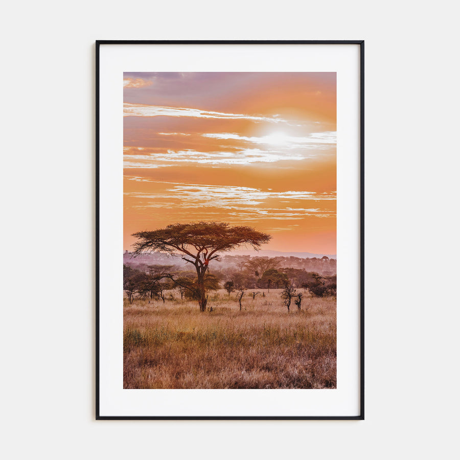 Savannah Photo Color No 2 Poster