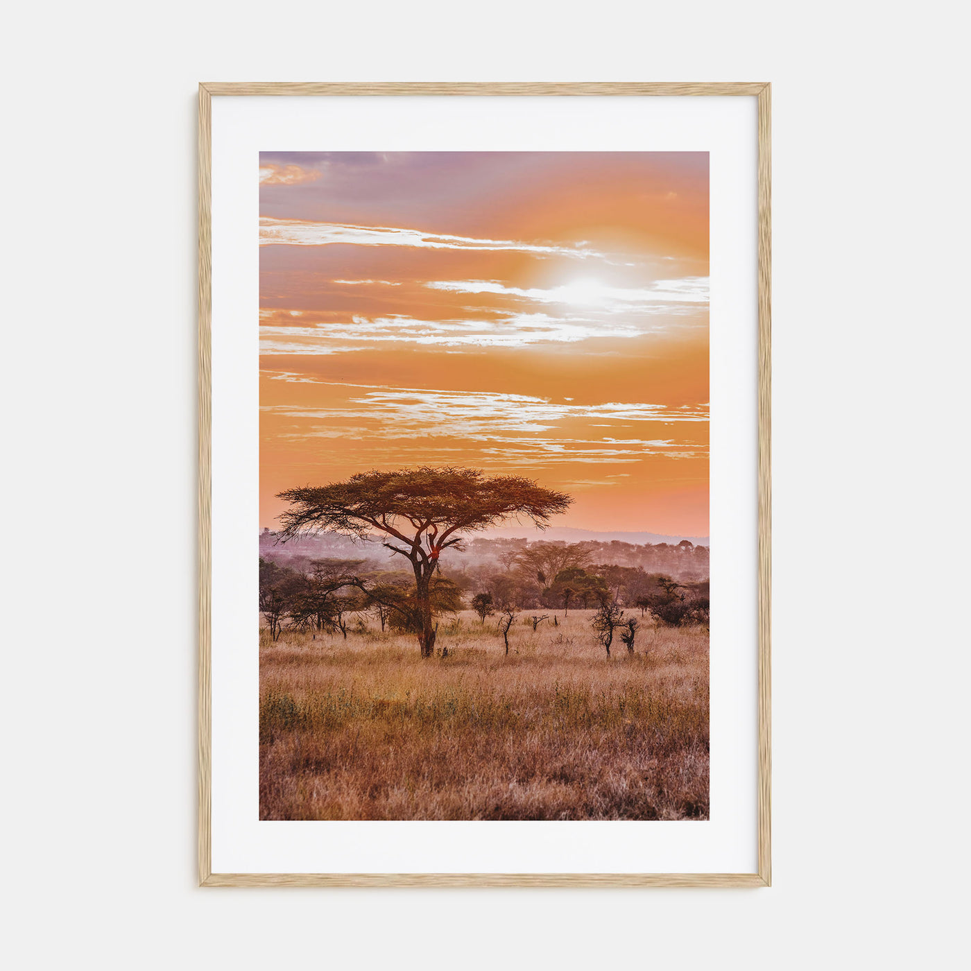 Savannah Photo Color No 2 Poster