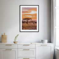 Savannah Photo Color No 2 Poster