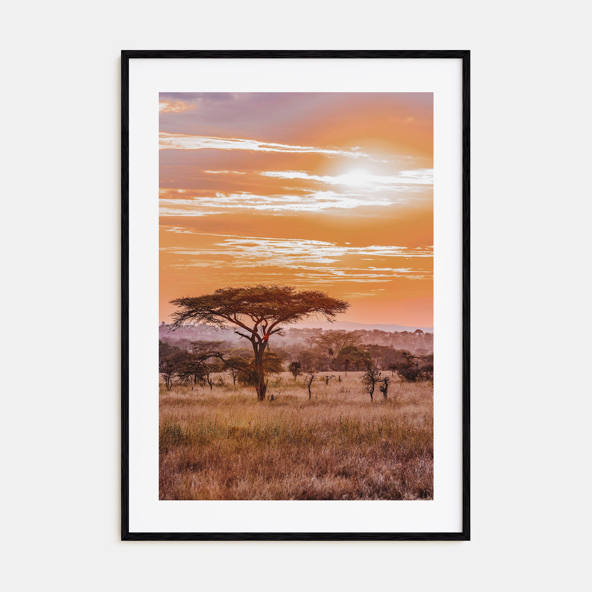 Savannah Photo Color No 2 Poster