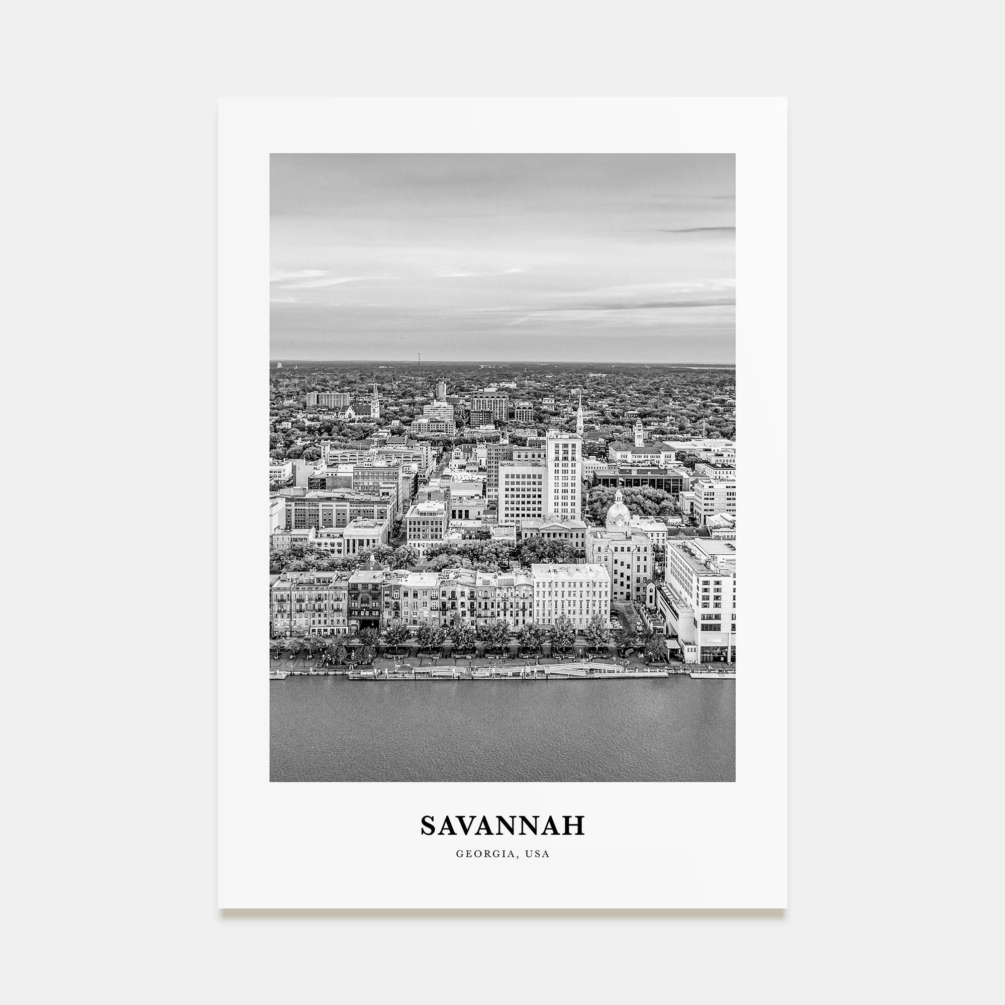 Savannah Portrait B&W No 2 Poster