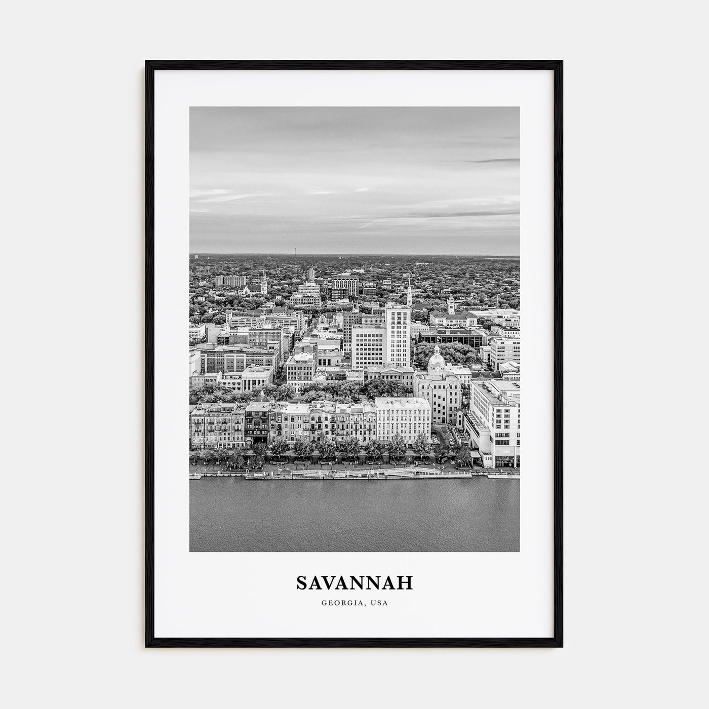 Savannah Portrait B&W No 2 Poster