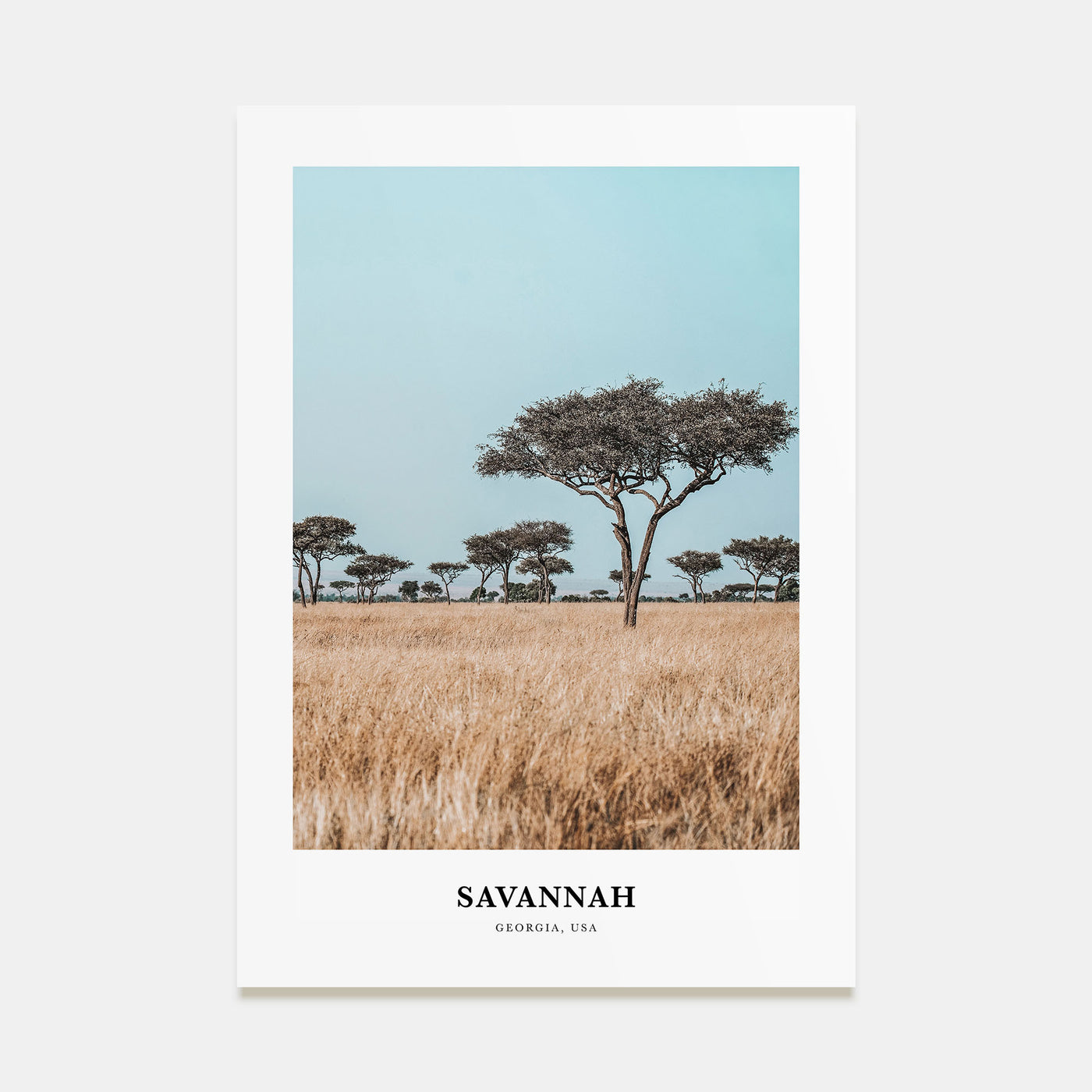 Savannah Portrait Color Poster