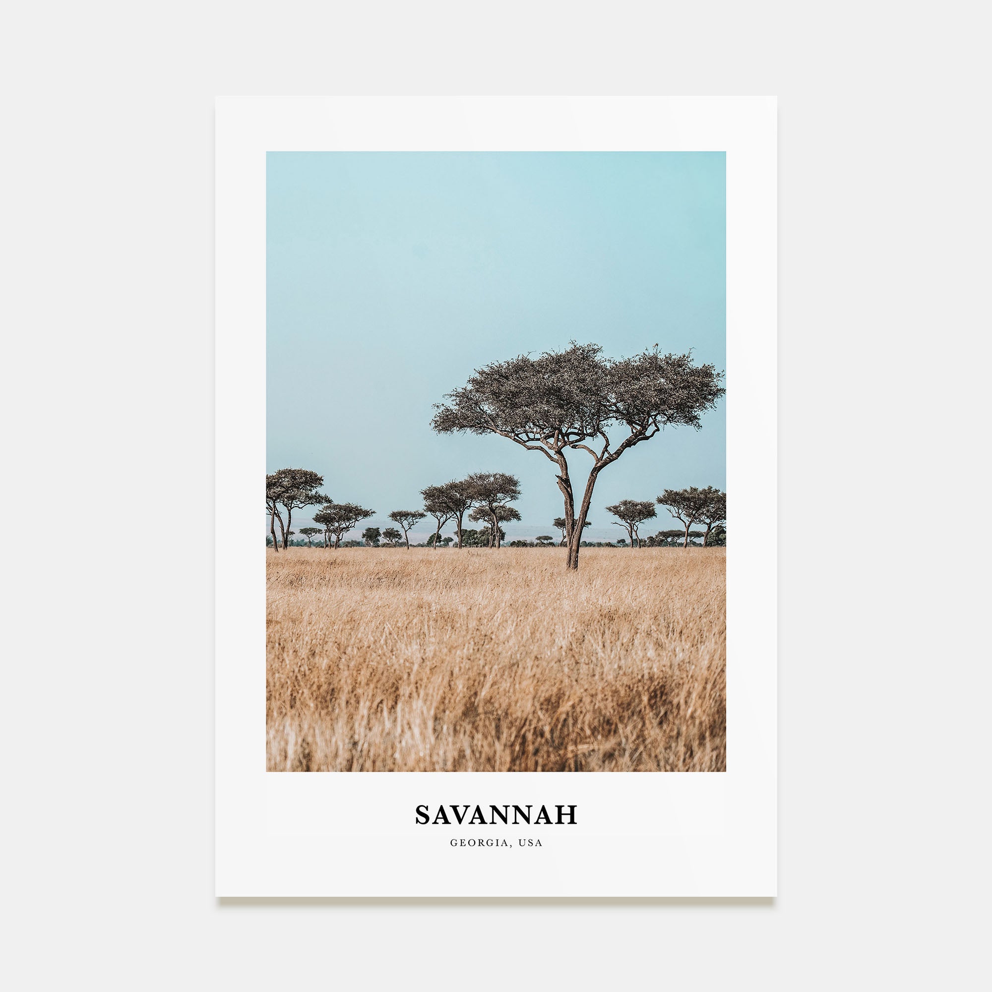 Savannah Portrait Color Poster