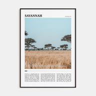 Savannah Travel Color Poster