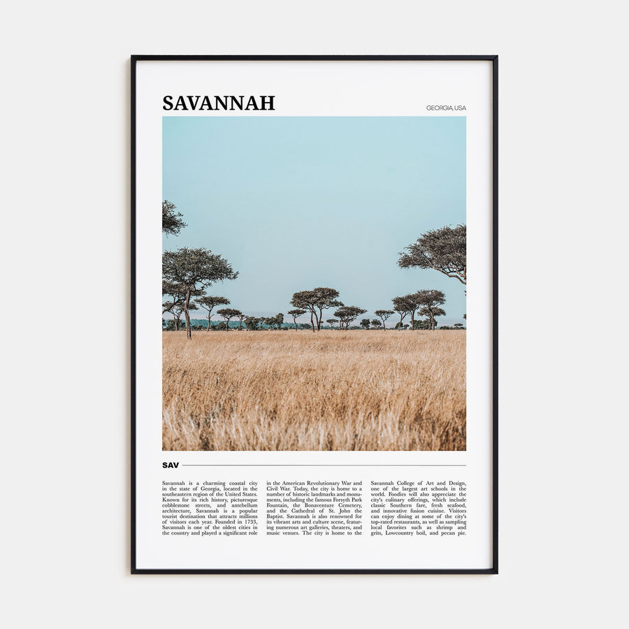 Savannah Travel Color Poster