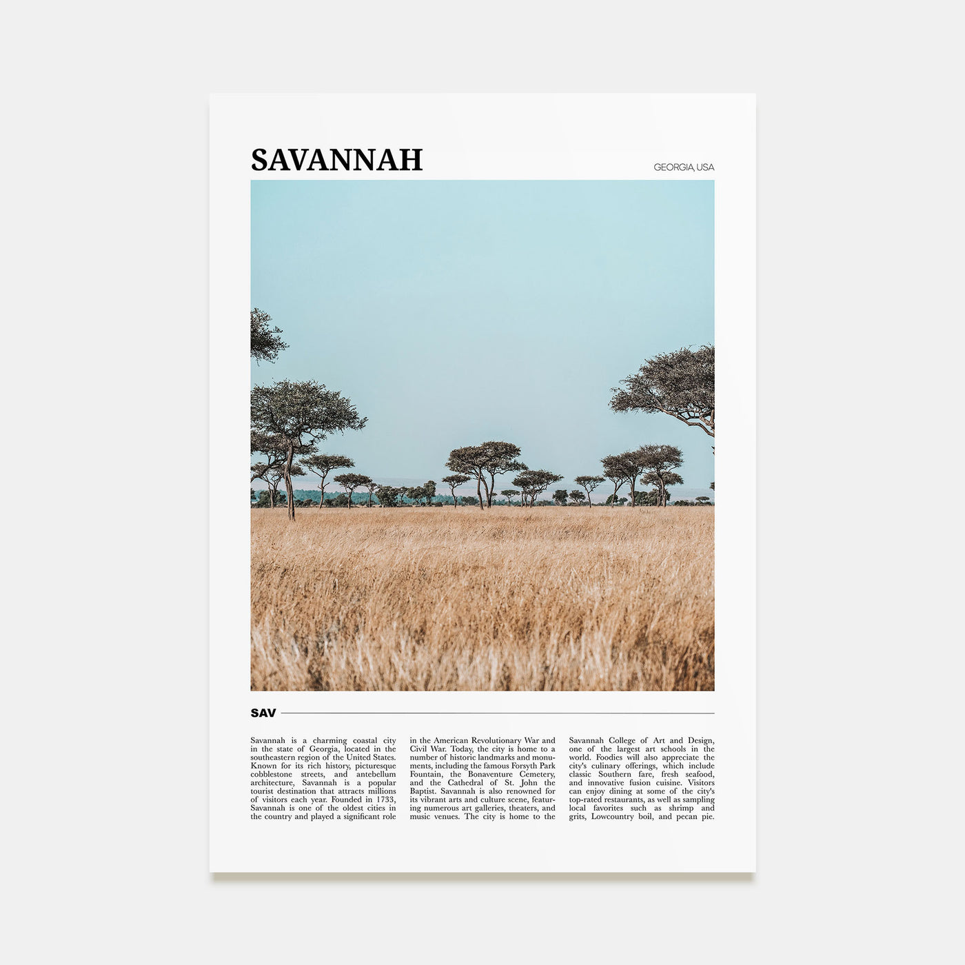 Savannah Travel Color Poster