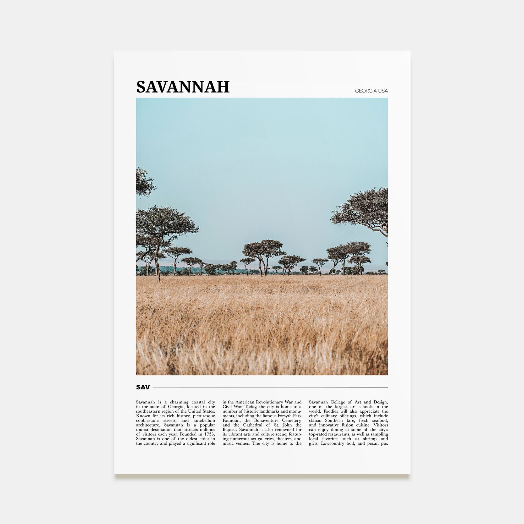 Savannah Travel Color Poster