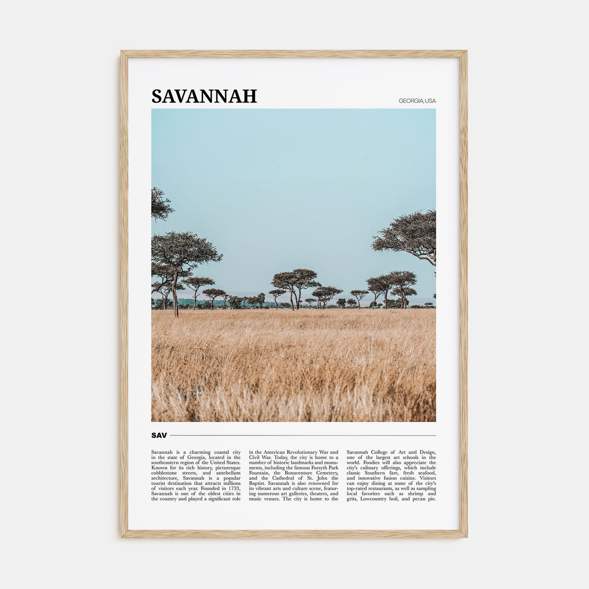 Savannah Travel Color Poster