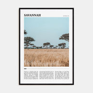 Savannah Travel Color Poster