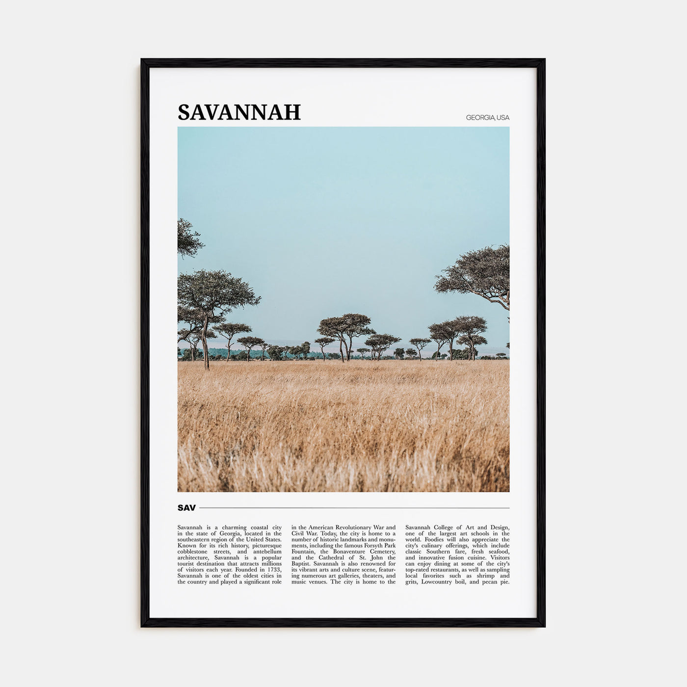 Savannah Travel Color Poster