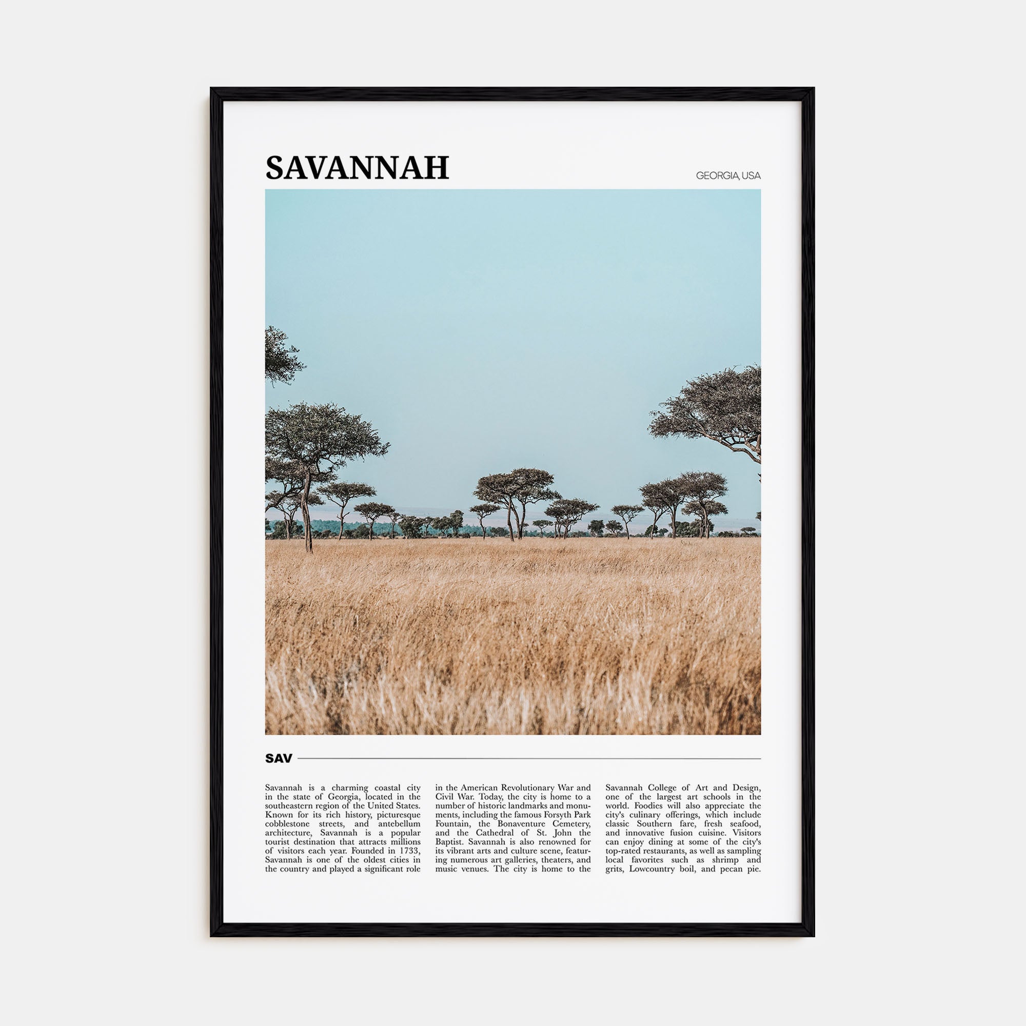 Savannah Travel Color Poster
