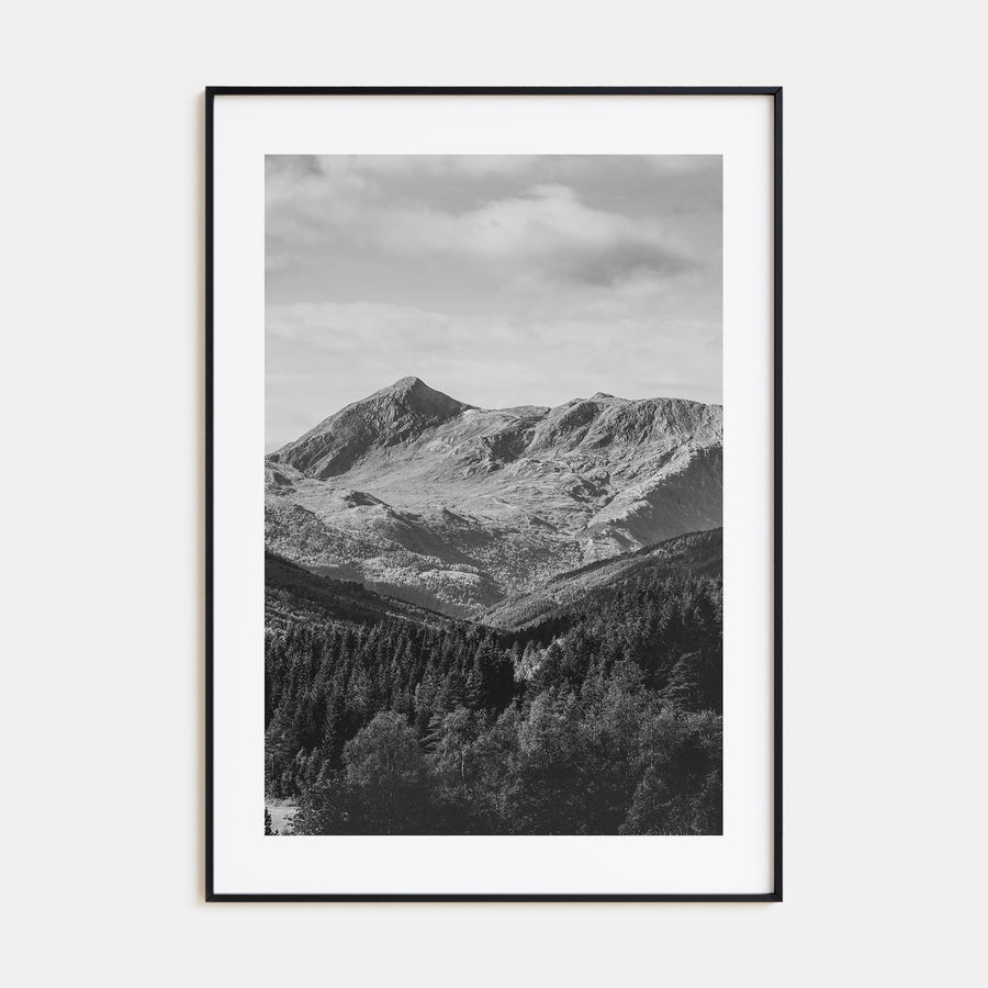 Scandinavian Forest Photo B&W No 1 Poster