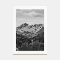 Scandinavian Forest Photo B&W No 1 Poster