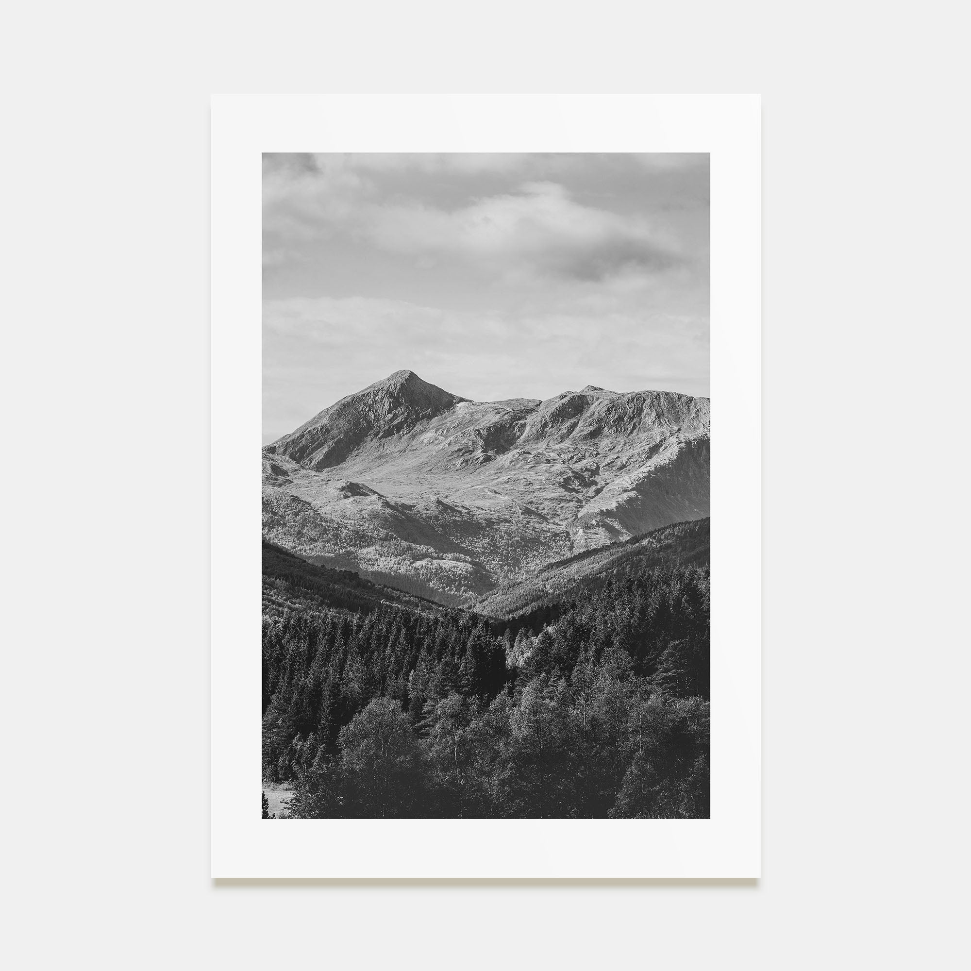 Scandinavian Forest Photo B&W No 1 Poster