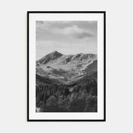Scandinavian Forest Photo B&W No 1 Poster