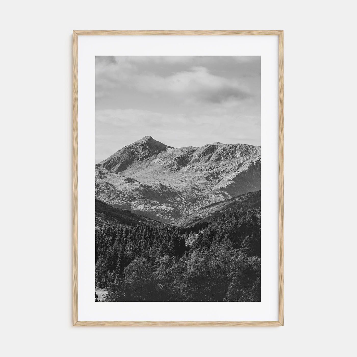 Scandinavian Forest Photo B&W No 1 Poster
