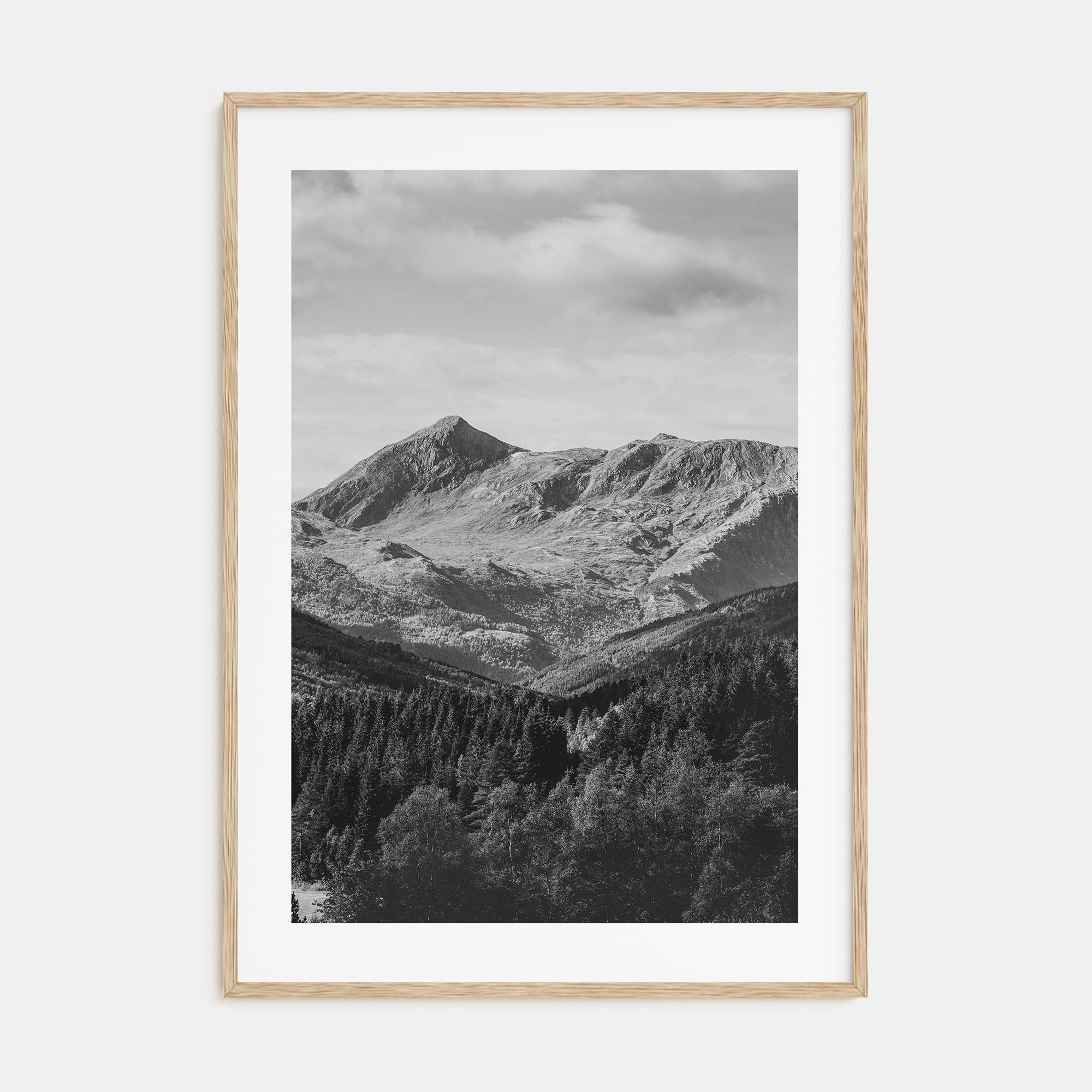 Scandinavian Forest Photo B&W No 1 Poster
