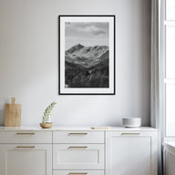 Scandinavian Forest Photo B&W No 1 Poster