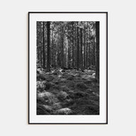 Scandinavian Forest Photo B&W No 2 Poster