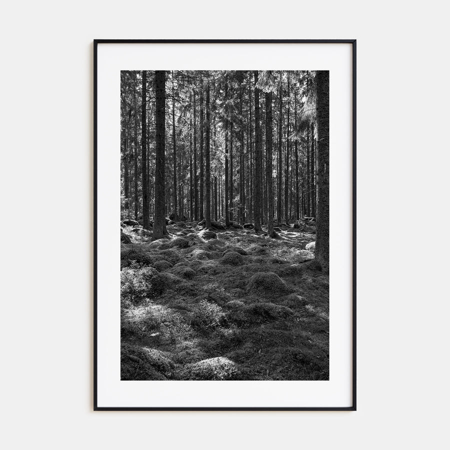 Scandinavian Forest Photo B&W No 2 Poster