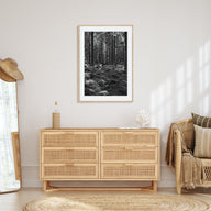 Scandinavian Forest Photo B&W No 2 Poster