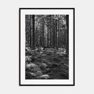 Scandinavian Forest Photo B&W No 2 Poster