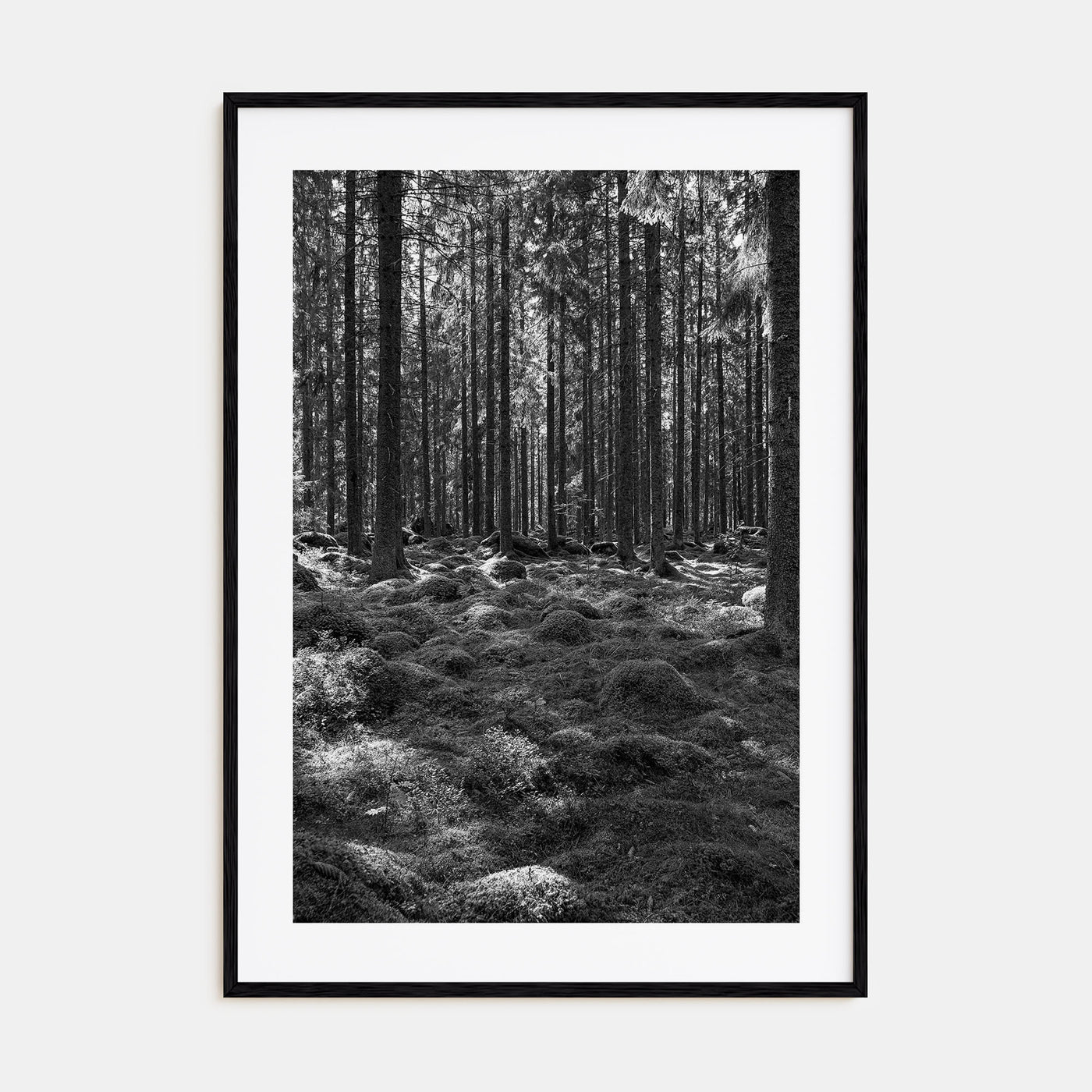 Scandinavian Forest Photo B&W No 2 Poster