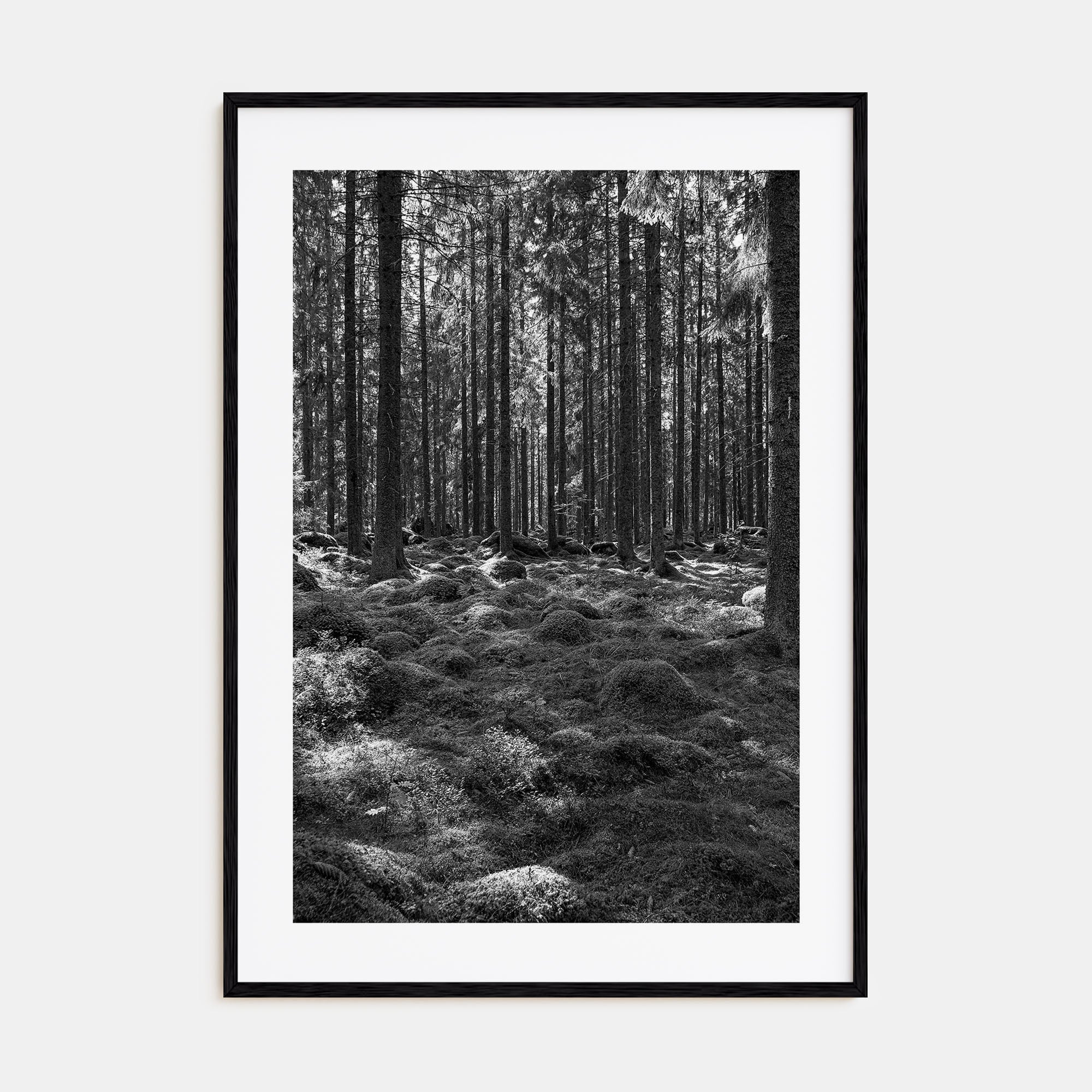 Scandinavian Forest Photo B&W No 2 Poster