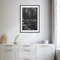 Scandinavian Forest Photo B&W No 2 Poster
