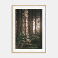 Scandinavian Forest Photo Color No 1 Poster