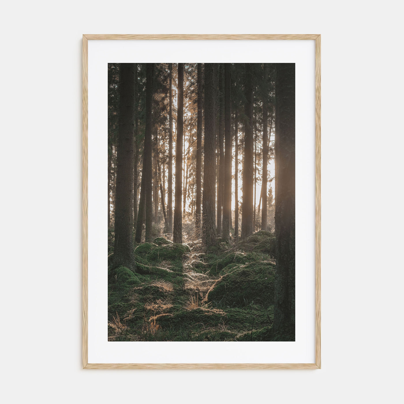 Scandinavian Forest Photo Color No 1 Poster