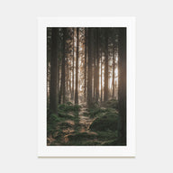 Scandinavian Forest Photo Color No 1 Poster