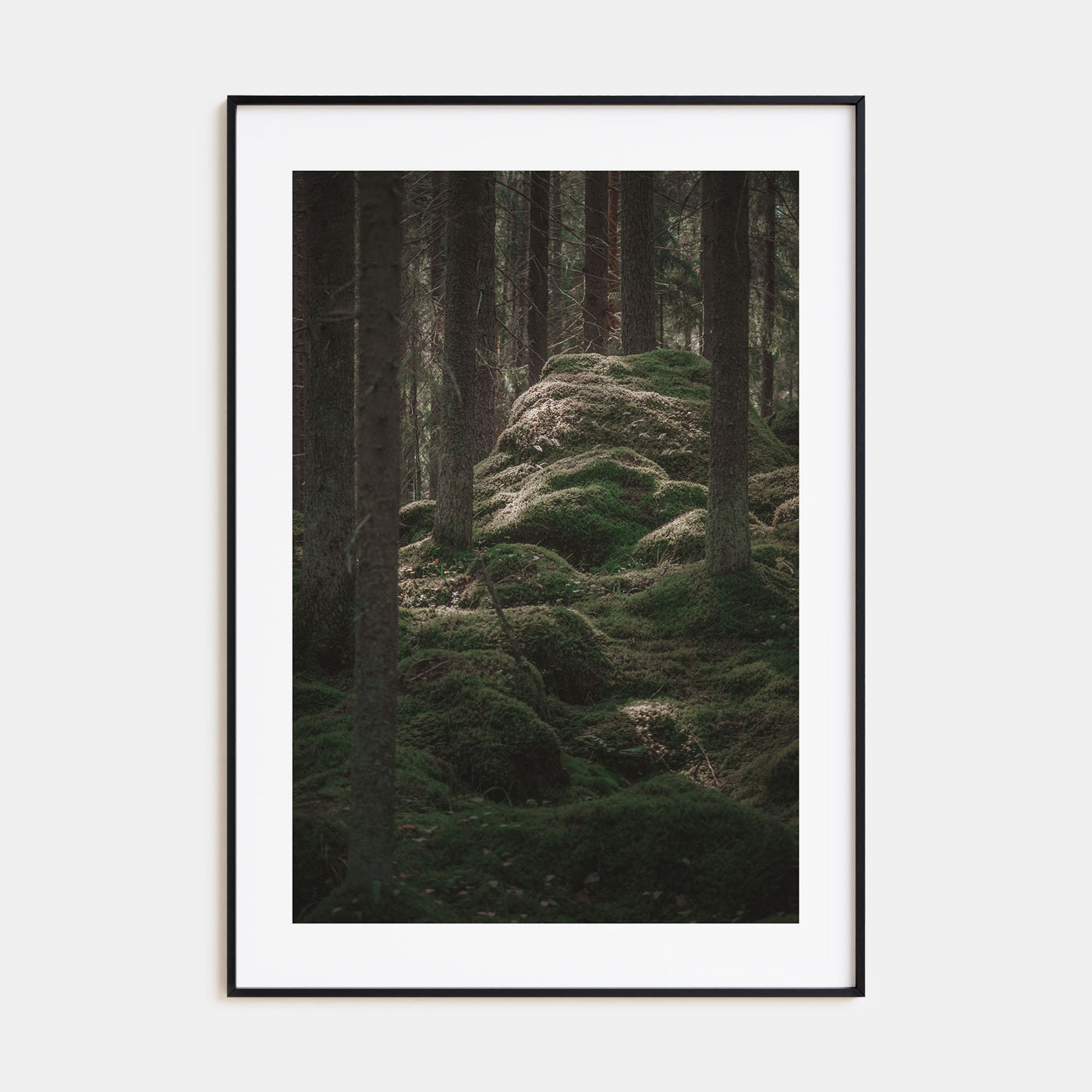 Scandinavian Forest Photo Color No 2 Poster