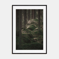 Scandinavian Forest Photo Color No 2 Poster