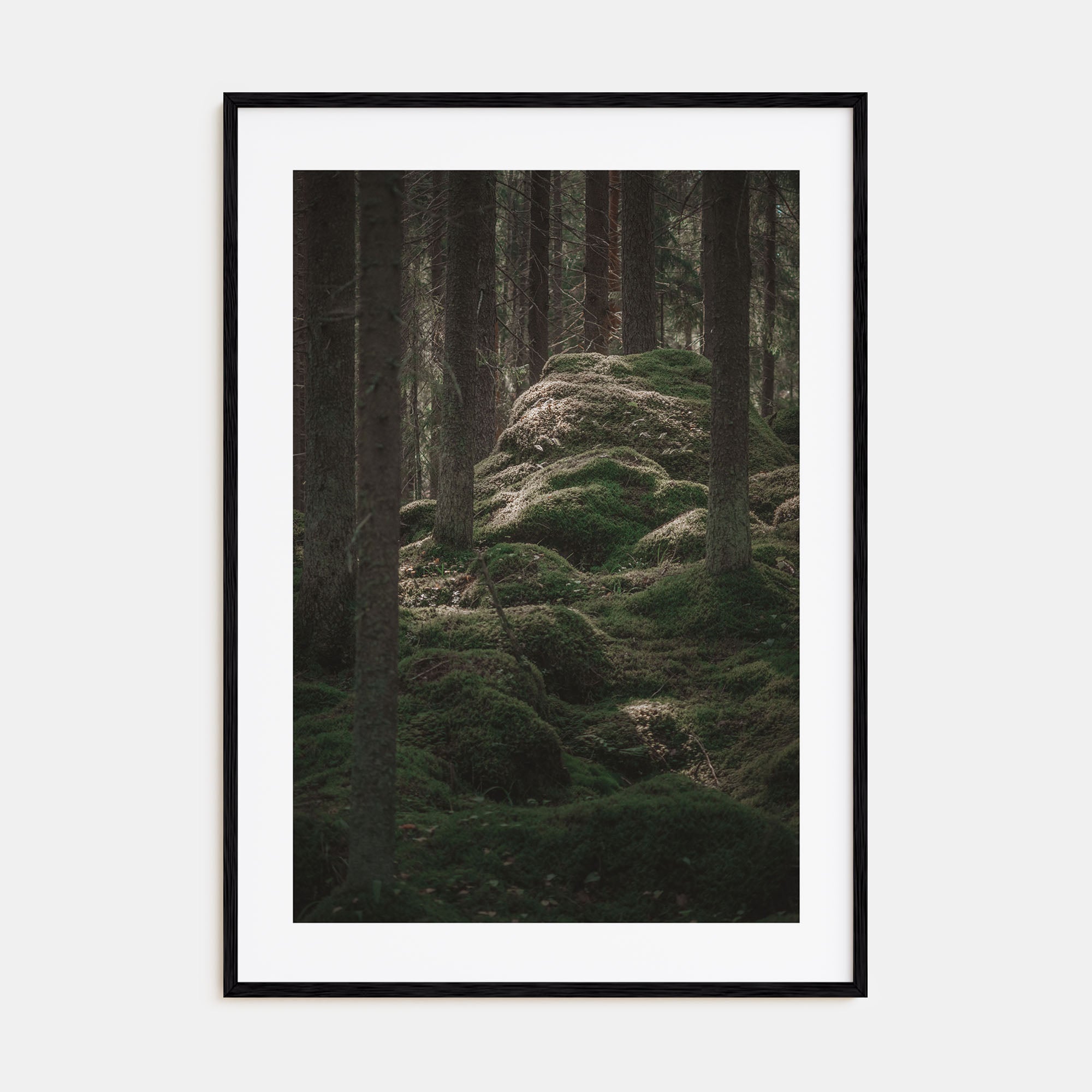 Scandinavian Forest Photo Color No 2 Poster