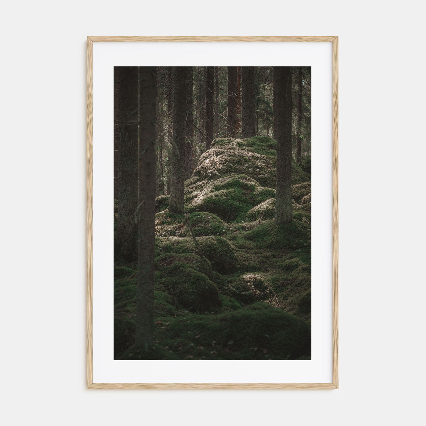 Scandinavian Forest Photo Color No 2 Poster