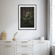 Scandinavian Forest Photo Color No 2 Poster