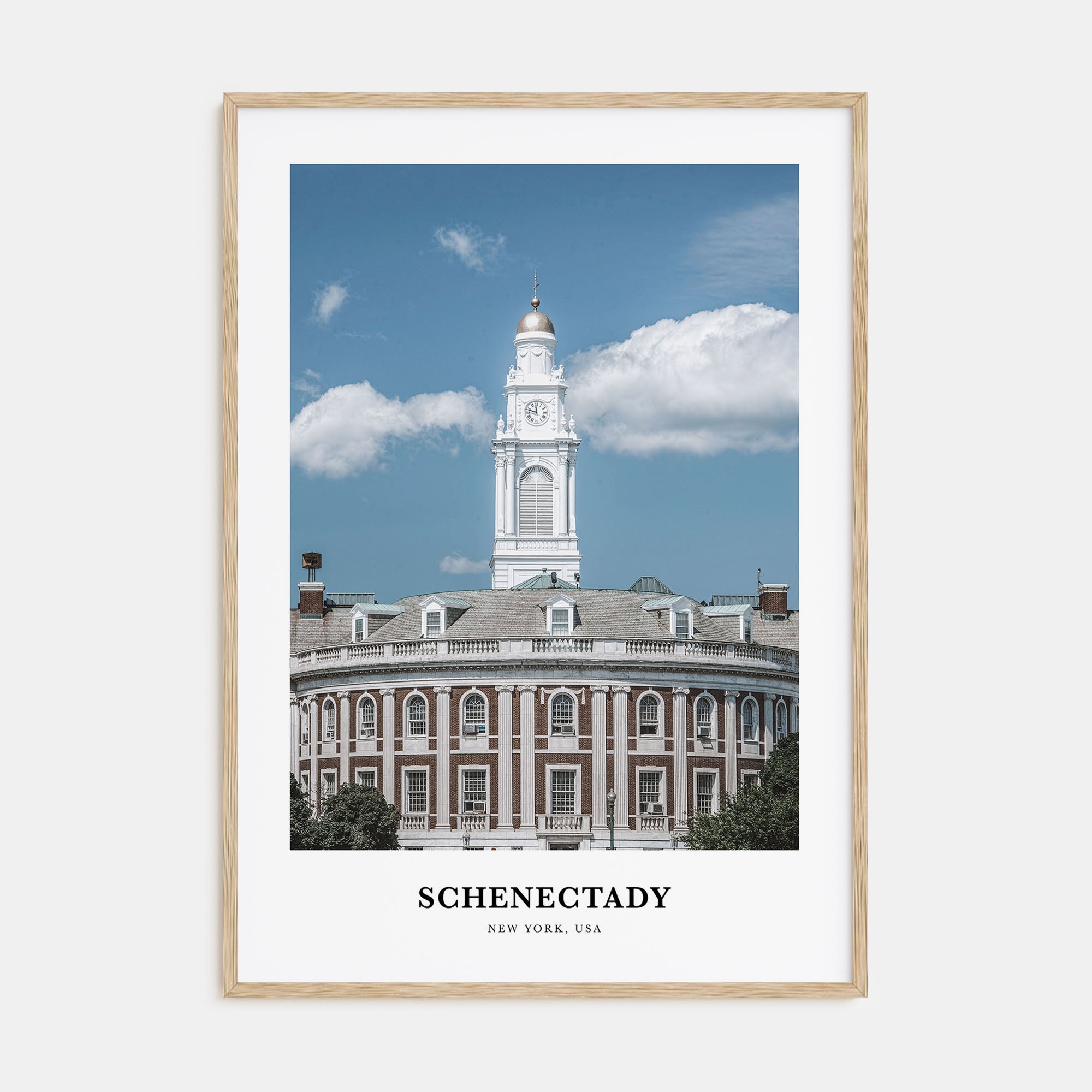 Schenectady Portrait Color Poster