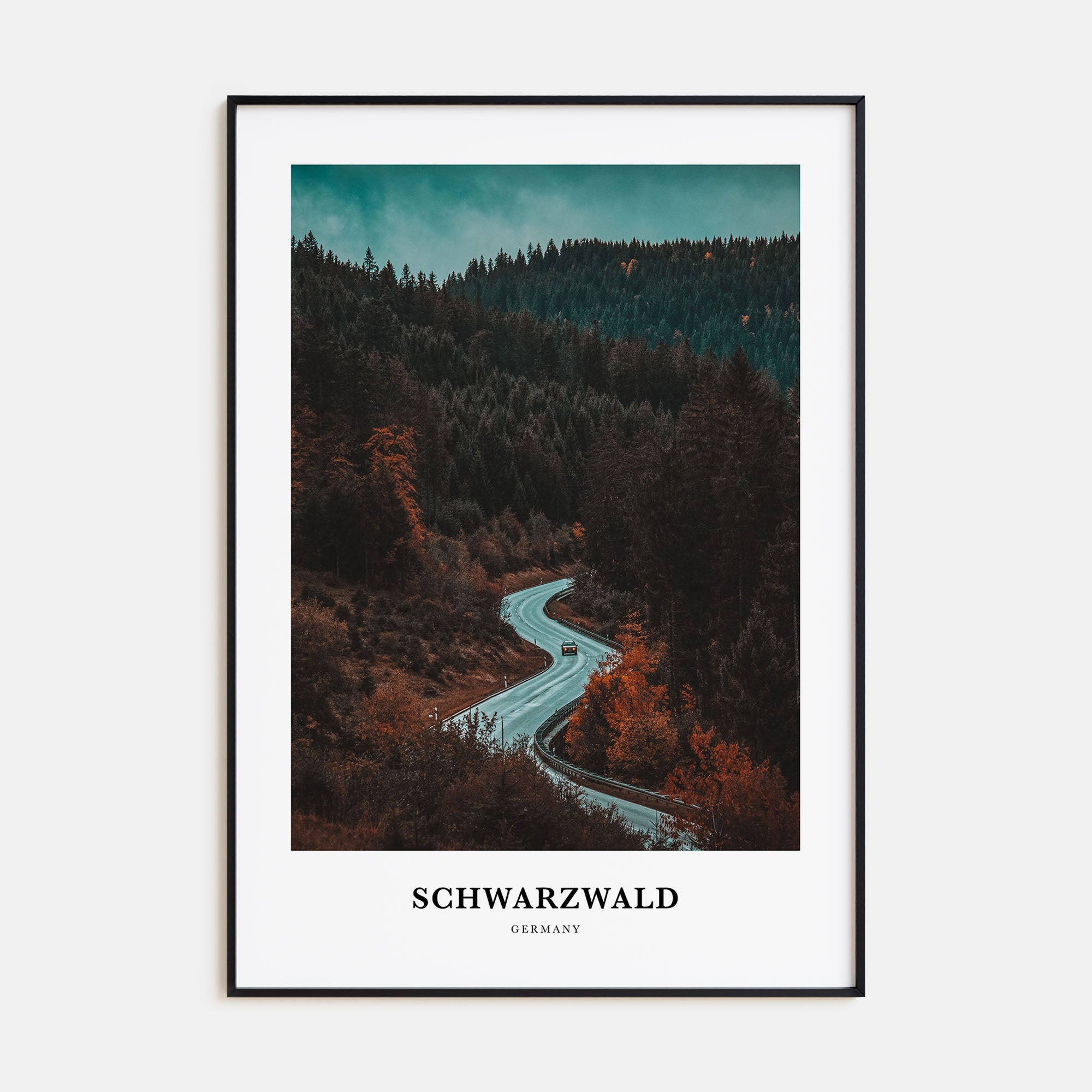 Schwarzwald Portrait Color Poster