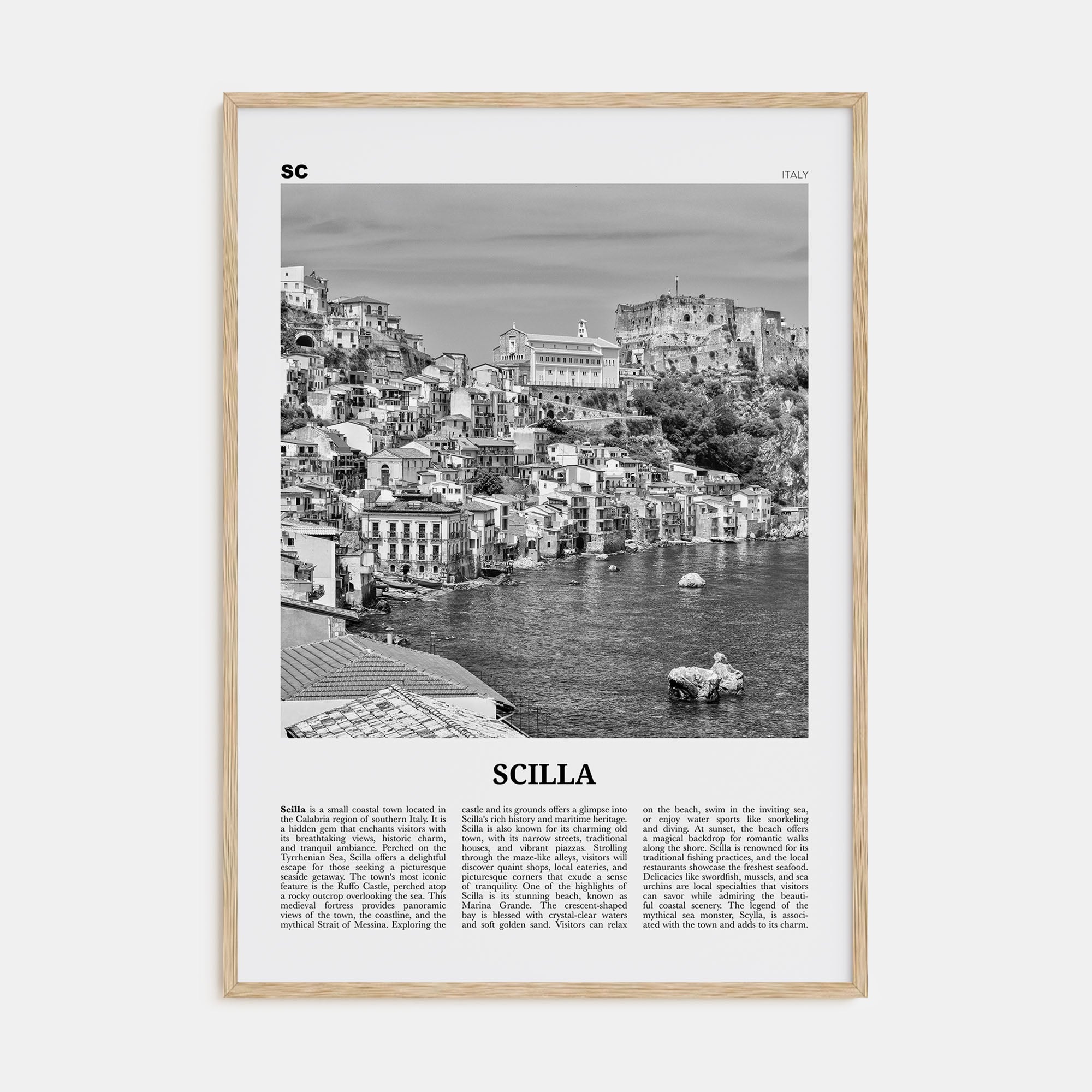 Scilla Travel B&W Poster