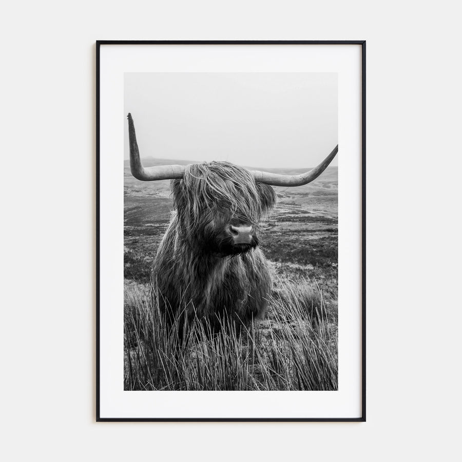 Scottish Highlander Photo B&W No 1 Poster